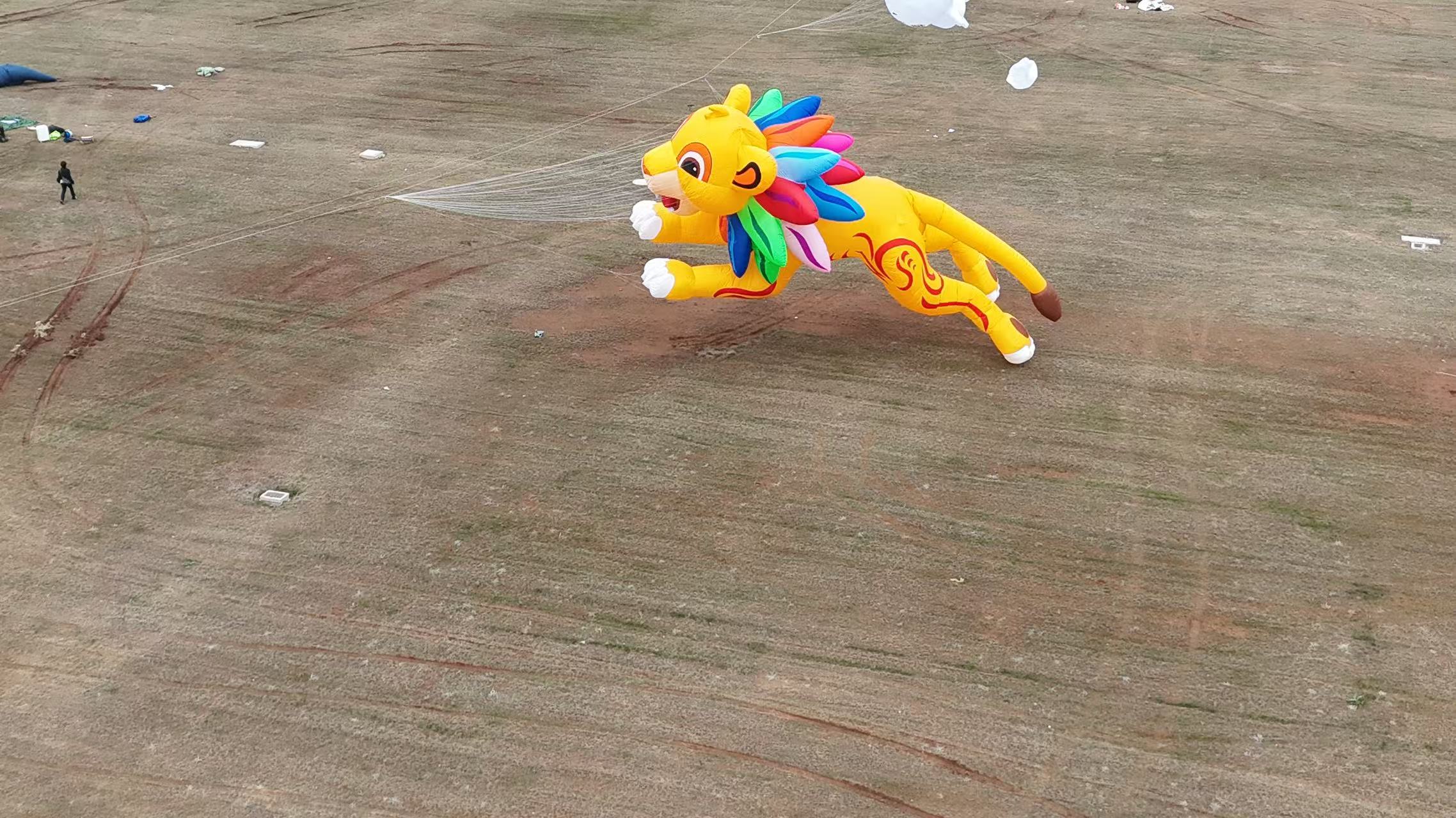 江门市品牌风筝定制风筝加工 - 哪里好